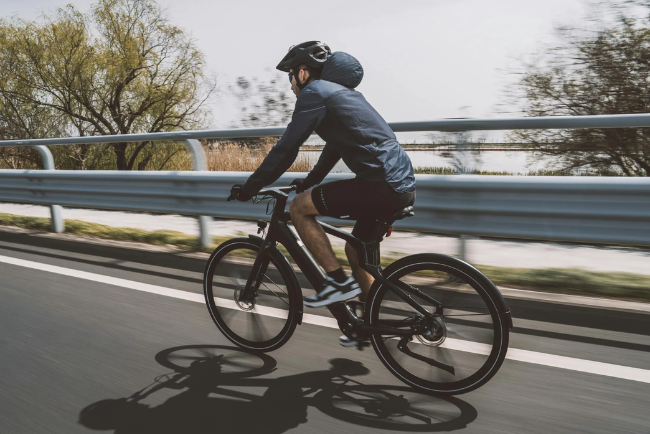 lt logoesto market 34